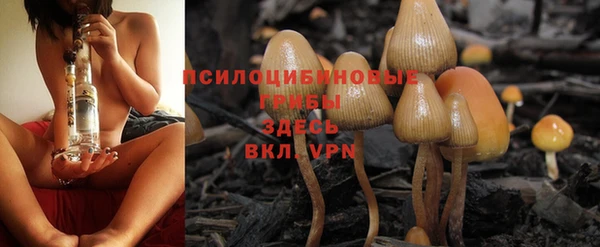 сатива Армянск
