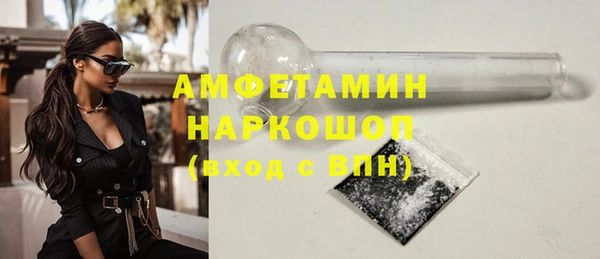 твердый Арсеньев