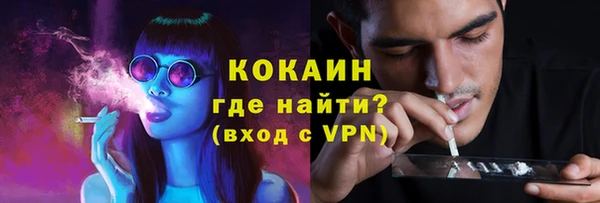 сатива Армянск