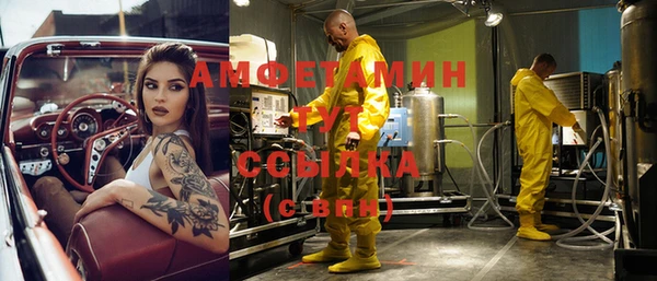 сатива Армянск