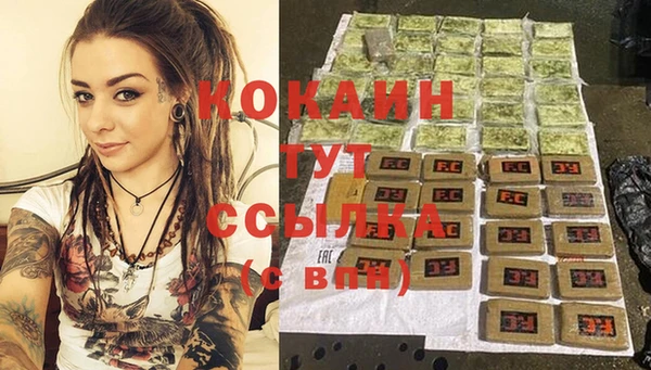 сатива Армянск