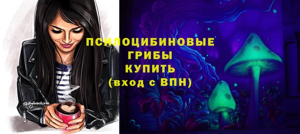 твердый Арсеньев