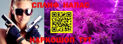 a pvp Заводоуковск