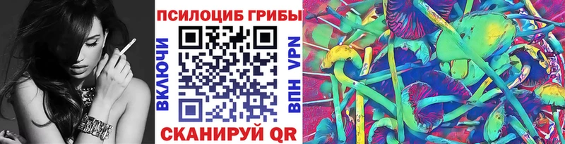 Псилоцибиновые грибы Cubensis Уссурийск